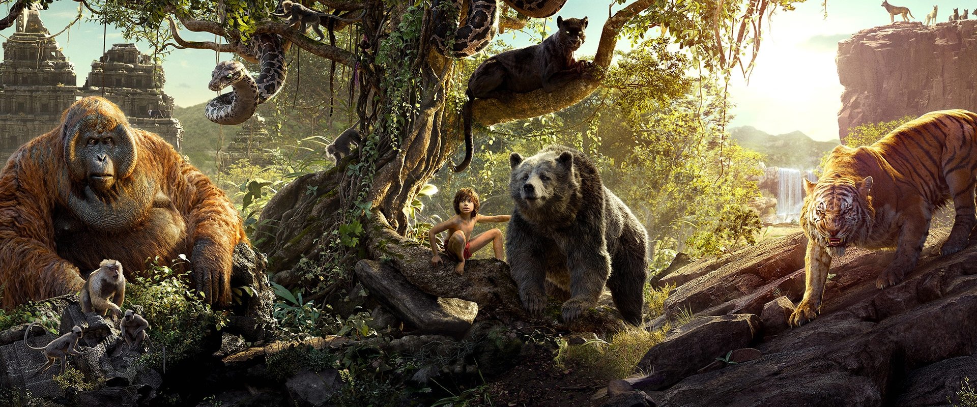 The Jungle Book backdrop