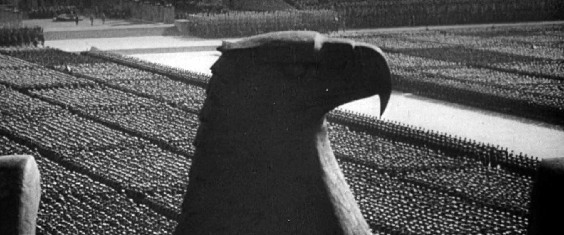 Triumph Over Violence backdrop