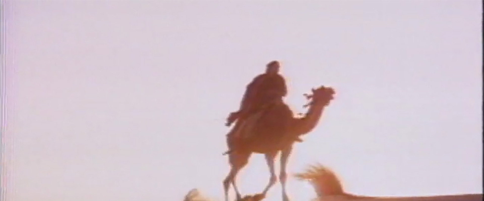 Moses the Lawgiver backdrop