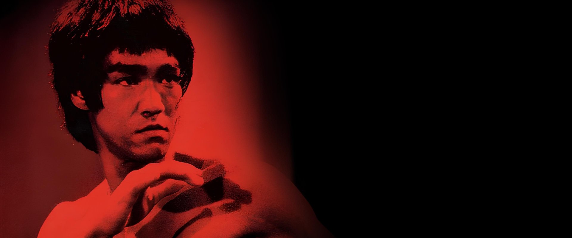 Bruce Lee: The Legend backdrop