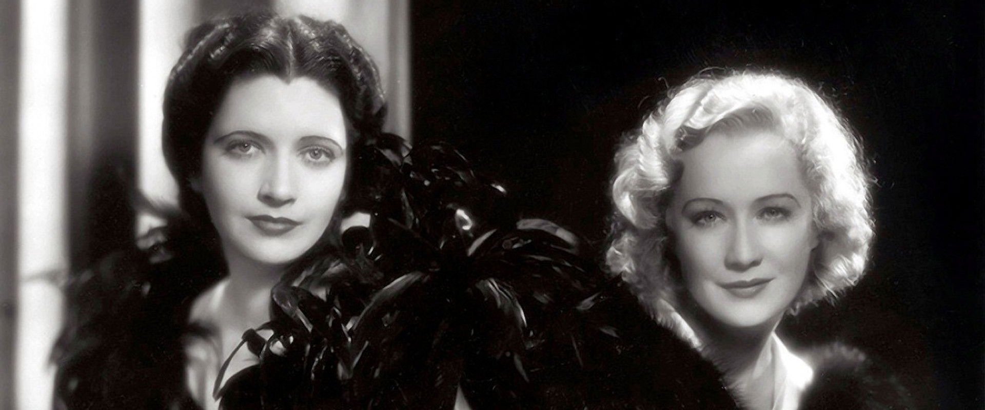 Trouble in Paradise backdrop