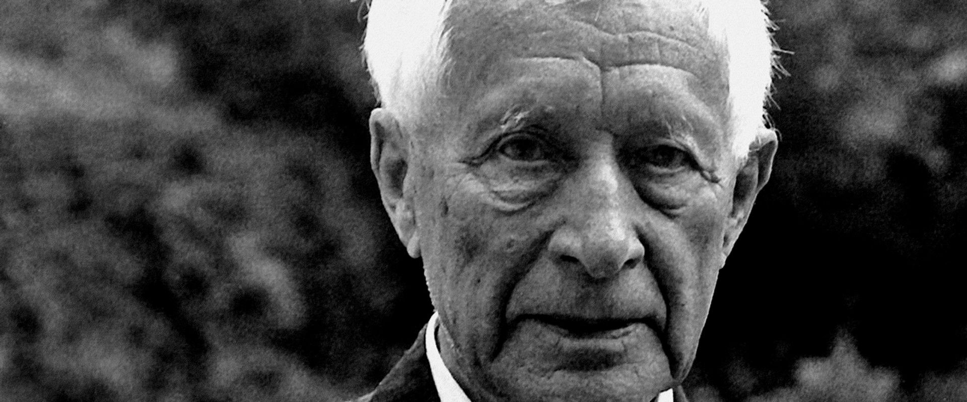 Ernst Jünger: Between Nature and Nationalism backdrop