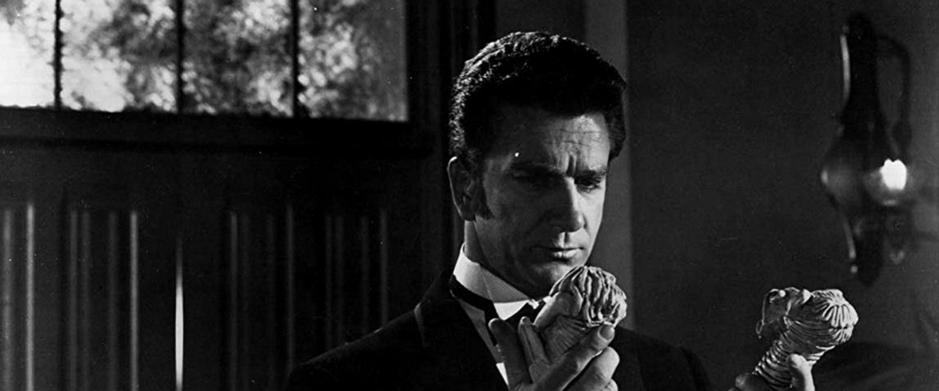 Dark Intruder backdrop