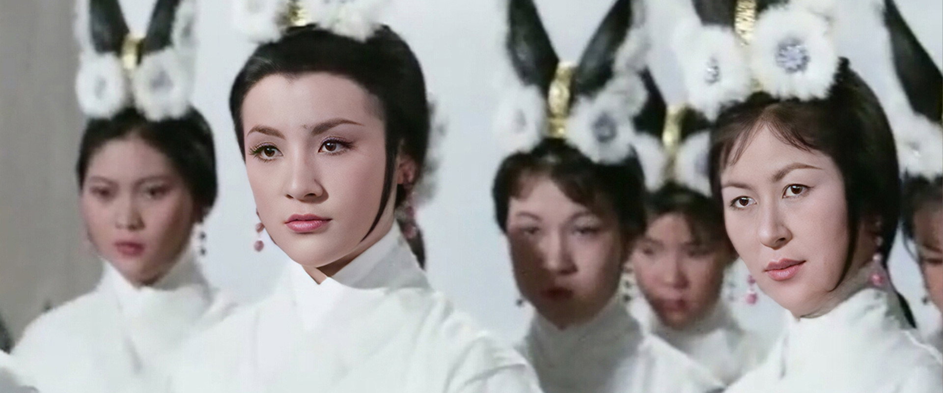 Beauty of Beauties backdrop