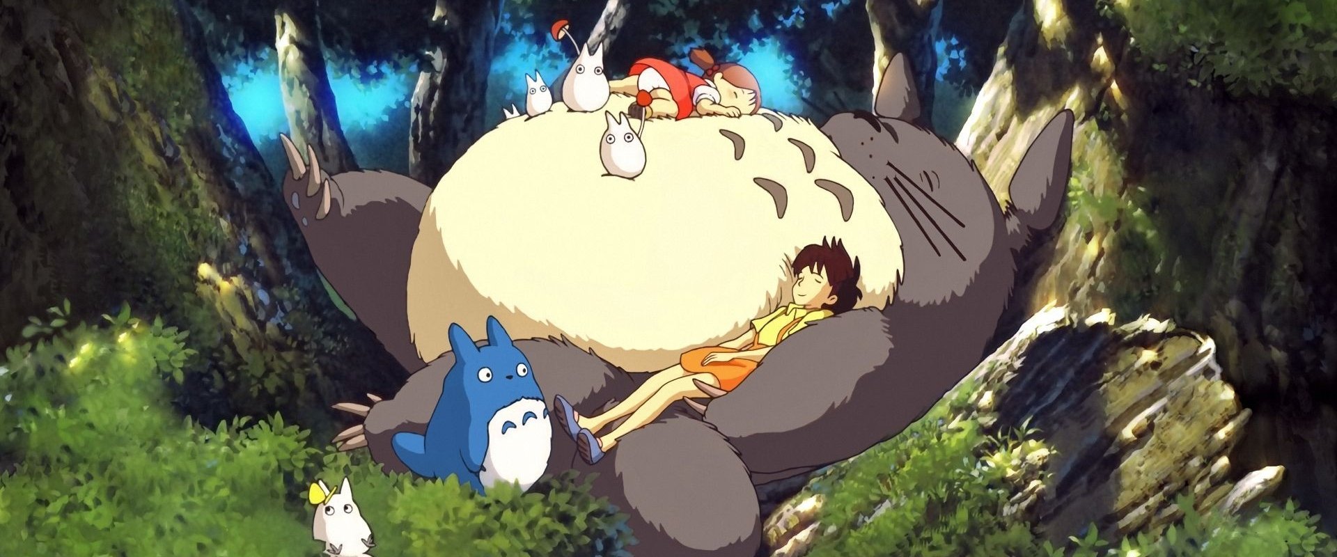My Neighbor Totoro backdrop