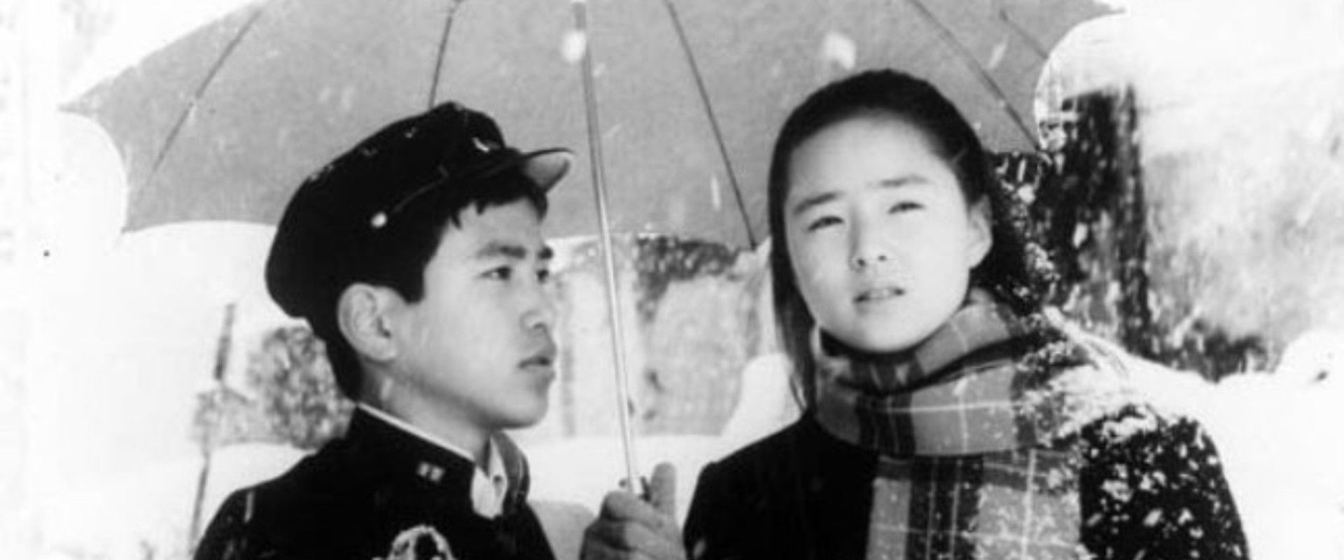 River of Fireflies backdrop