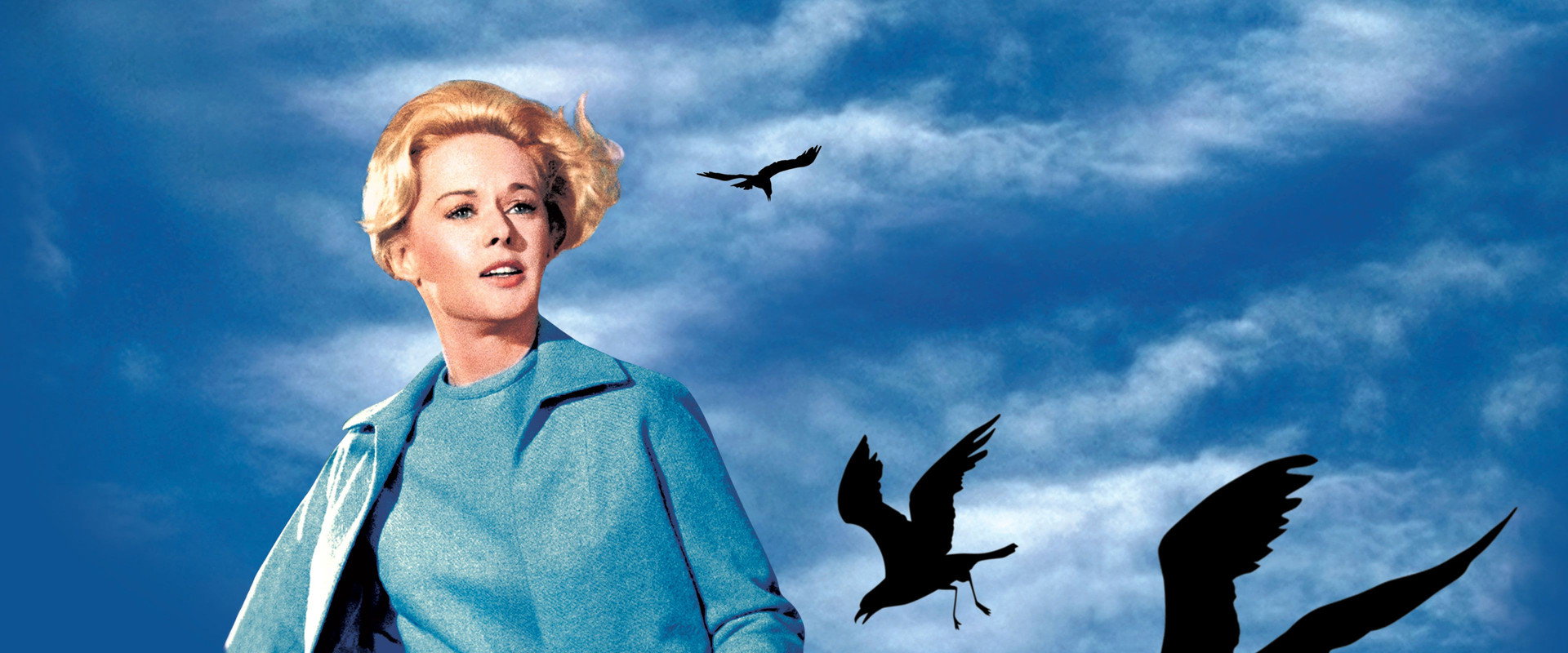 The Birds backdrop