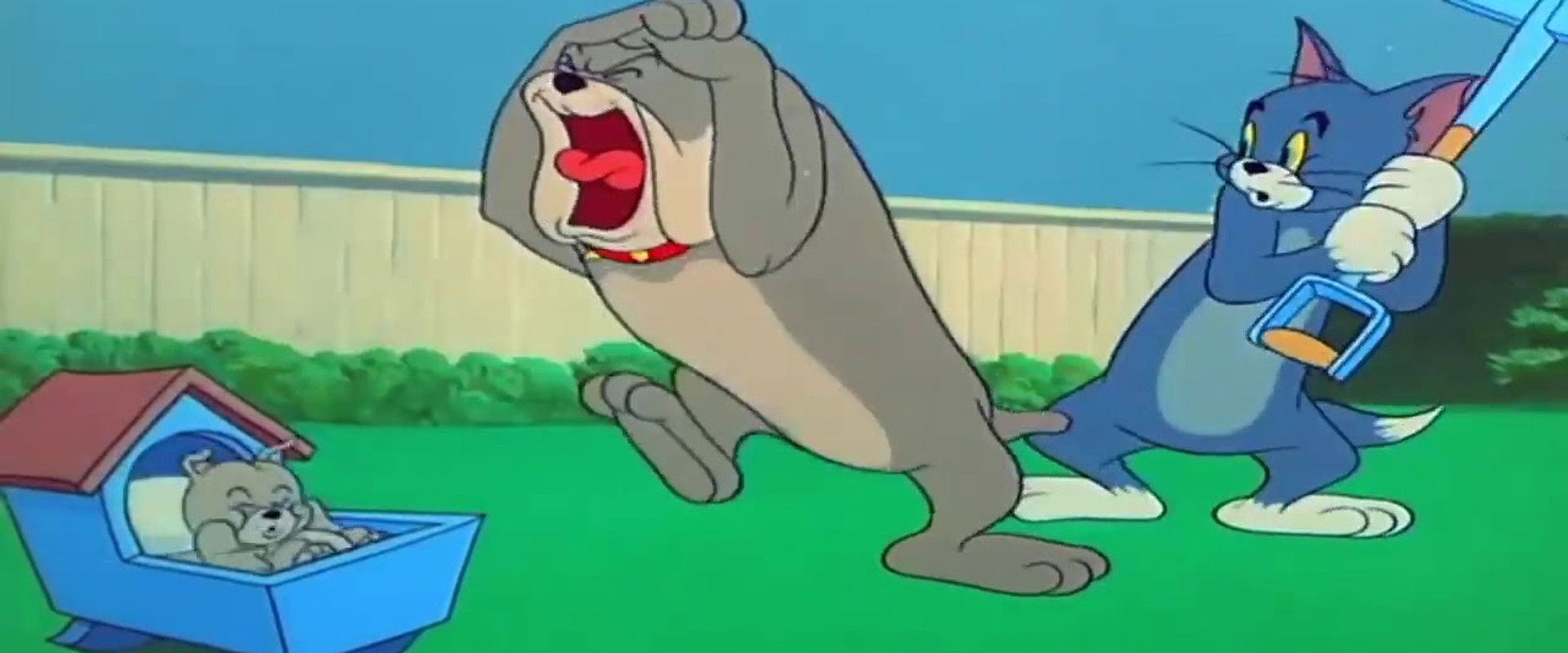 Hic-cup Pup backdrop