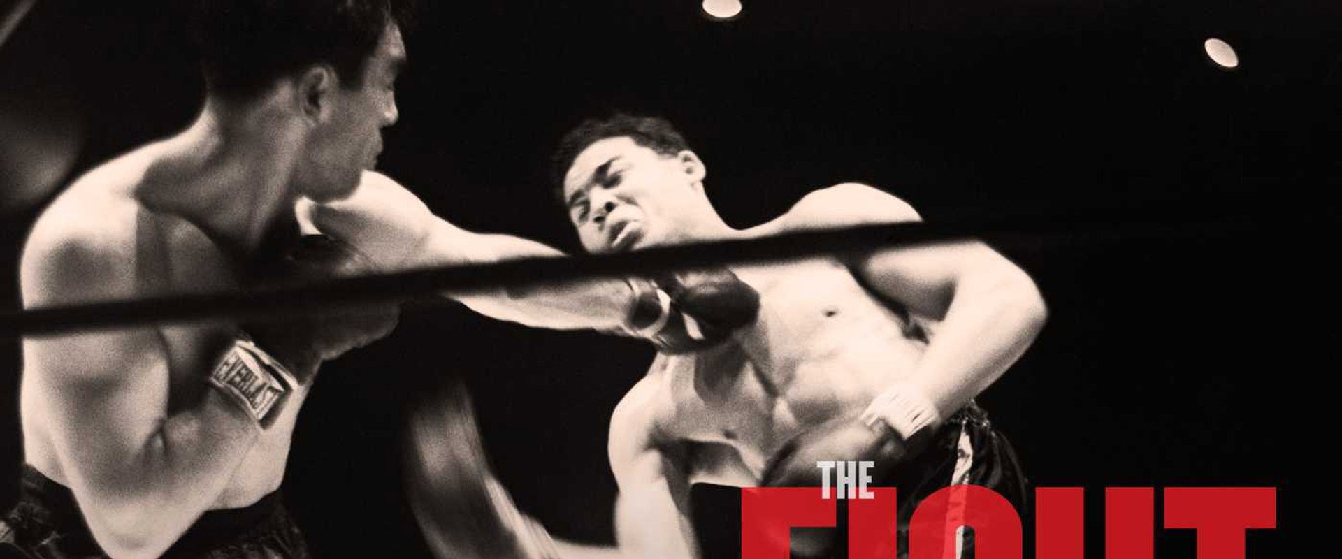 The Fight backdrop