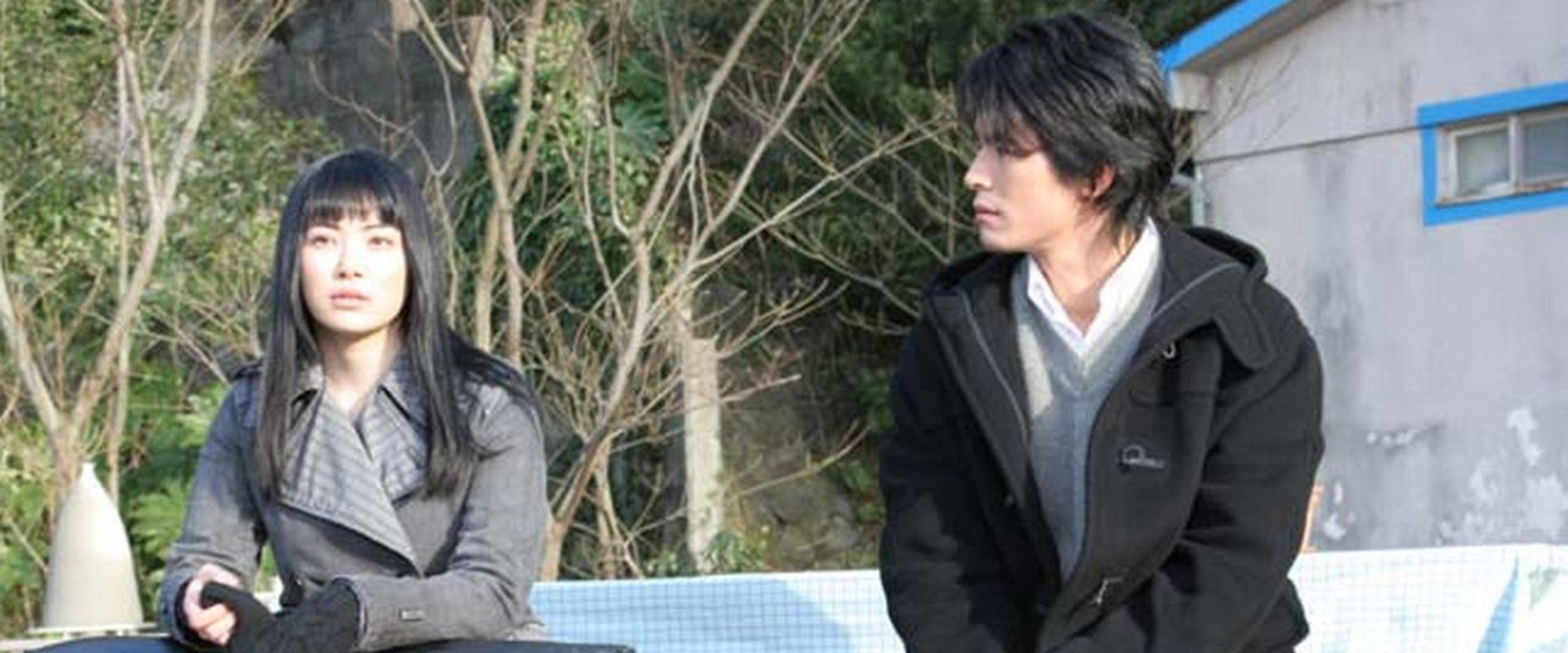 A Heartful of Love backdrop