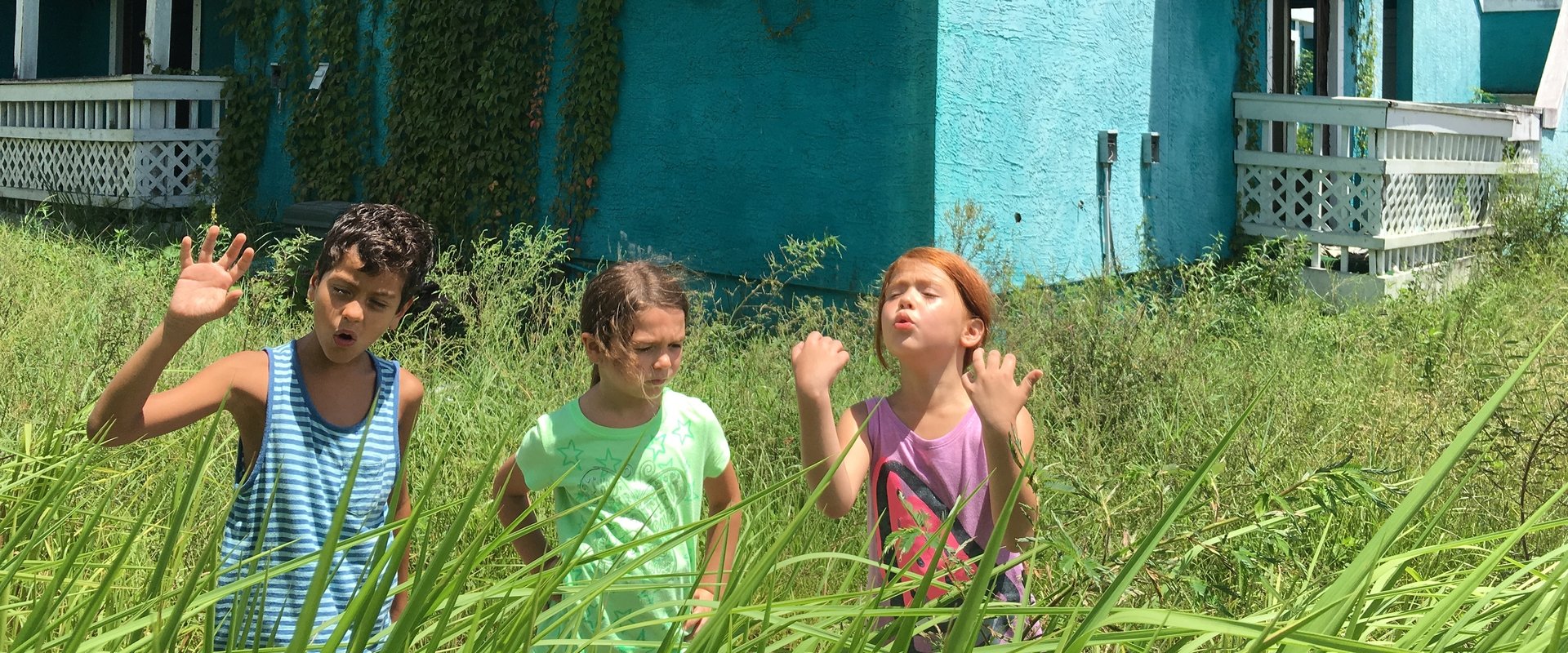 The Florida Project backdrop