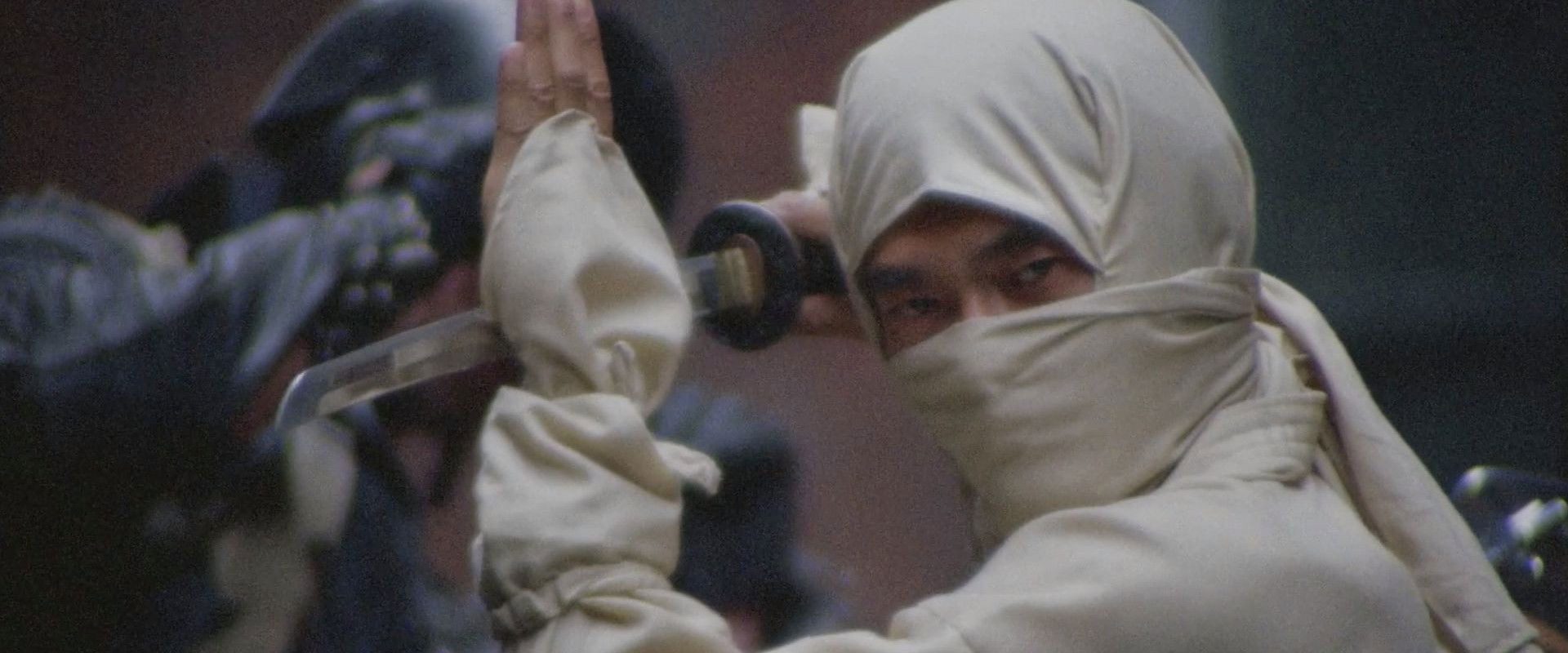 New York Ninja backdrop