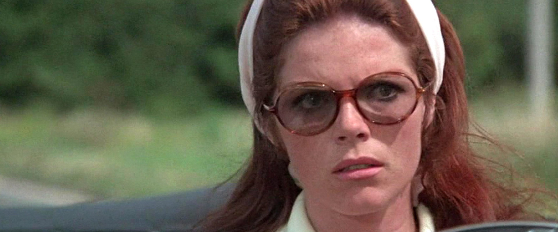 The Lady in the Car with Glasses and a Gun backdrop