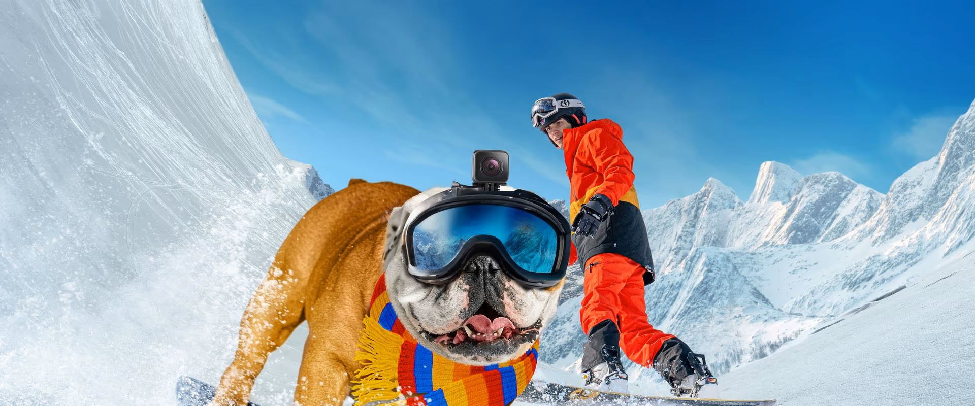Powder Pup backdrop