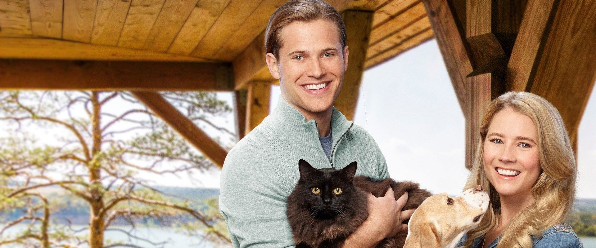 Like Cats & Dogs backdrop