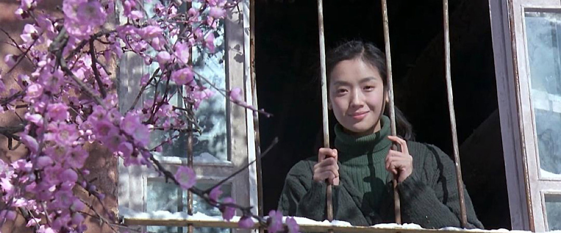 Treasure Hunt backdrop