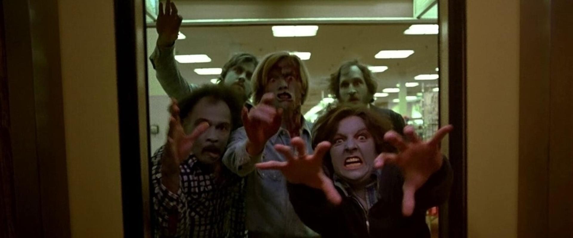 Dawn of the Dead backdrop