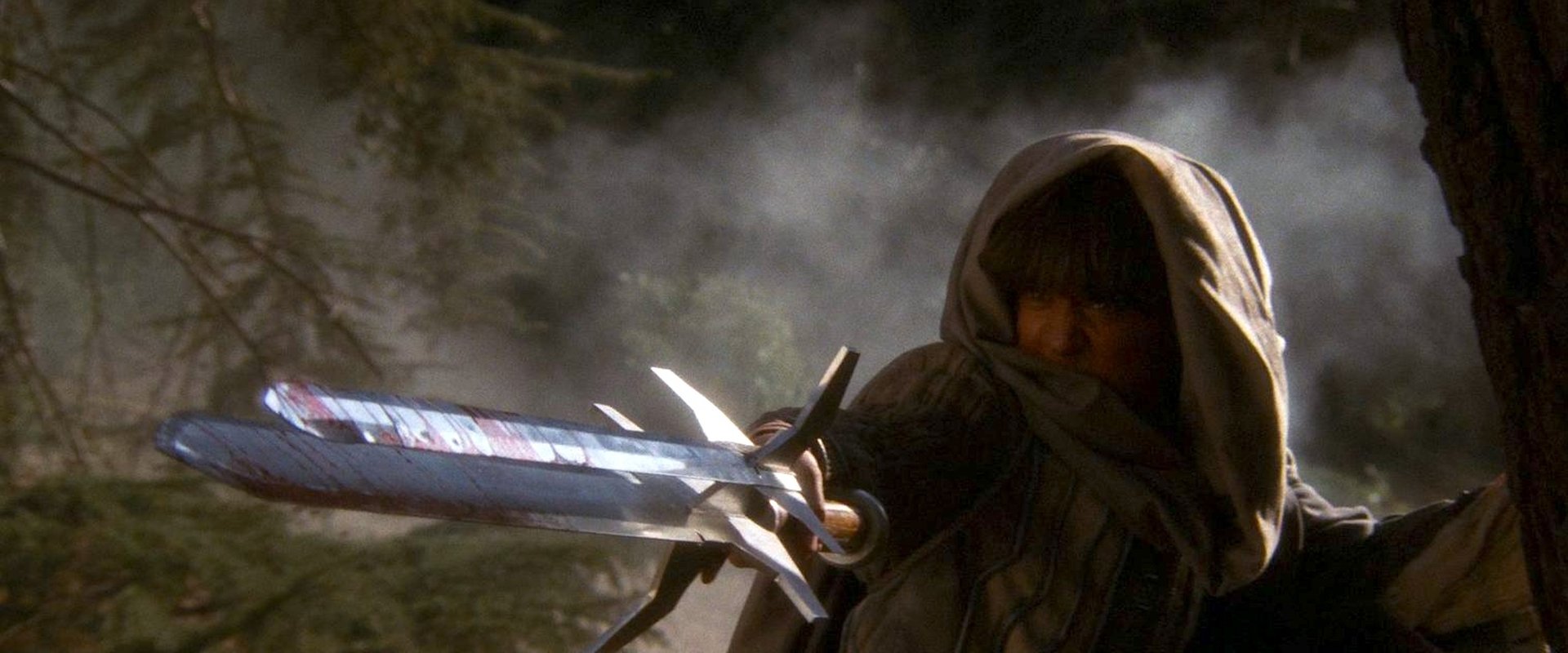 The Sword and the Sorcerer
