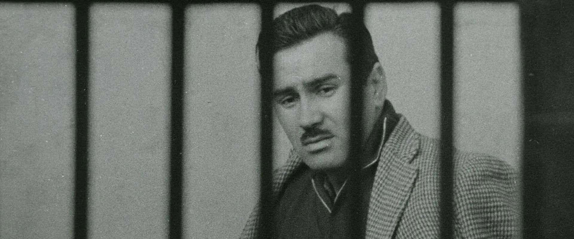 Jackal of Nahueltoro backdrop