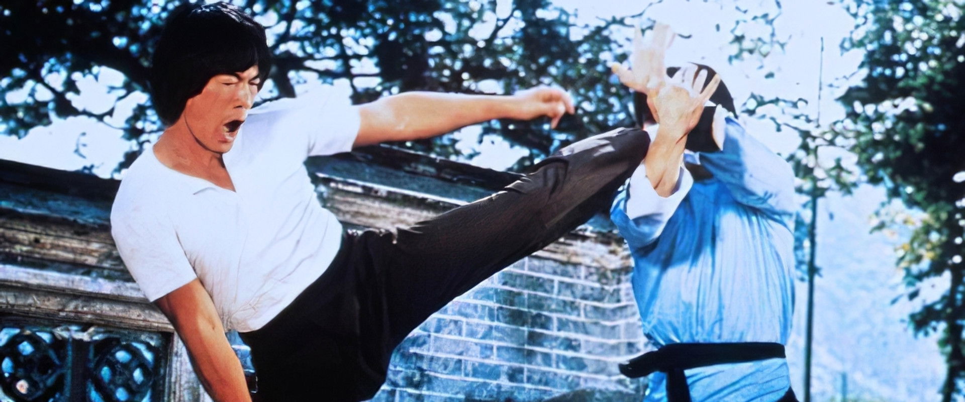 Blind Fist of Bruce backdrop