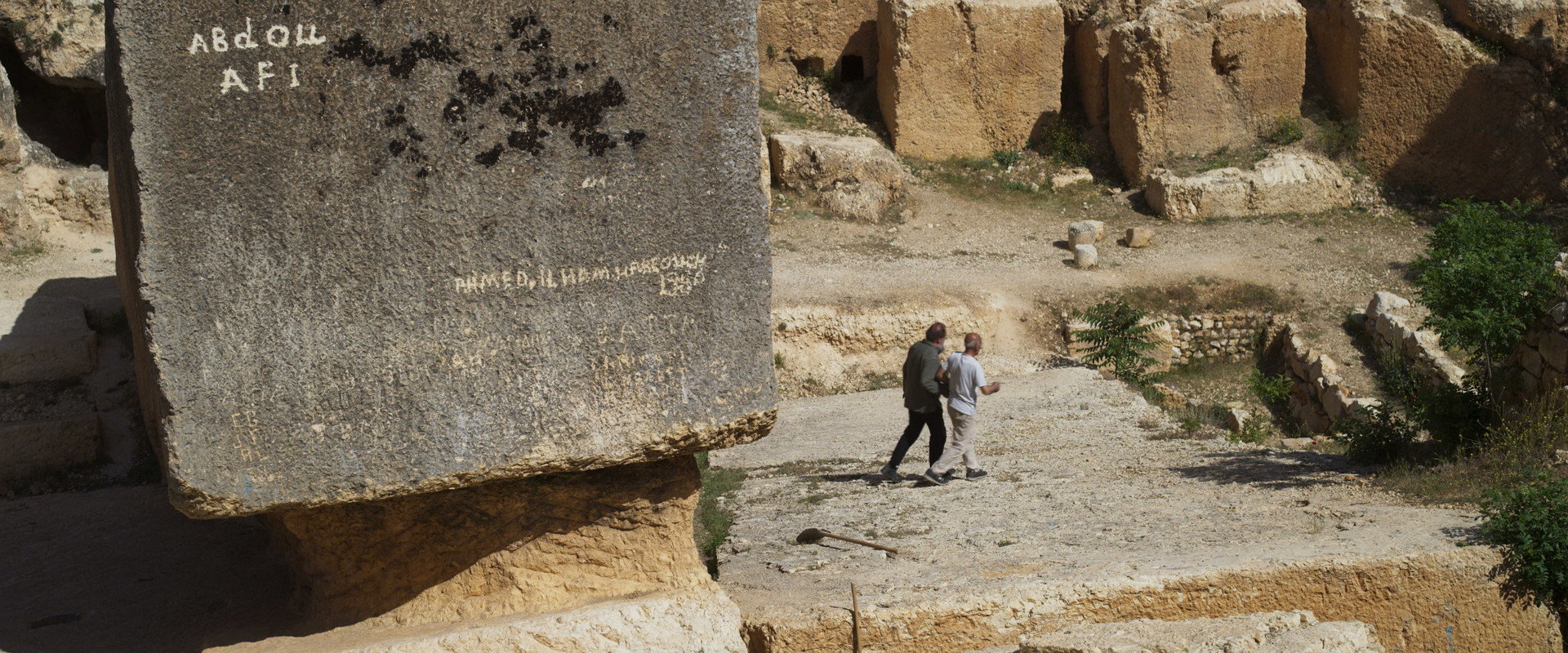 Architecton backdrop