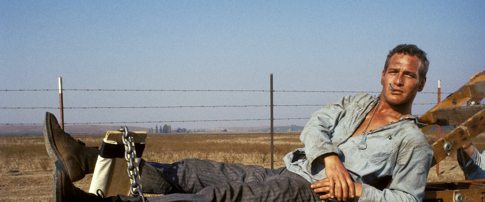 Cool Hand Luke backdrop