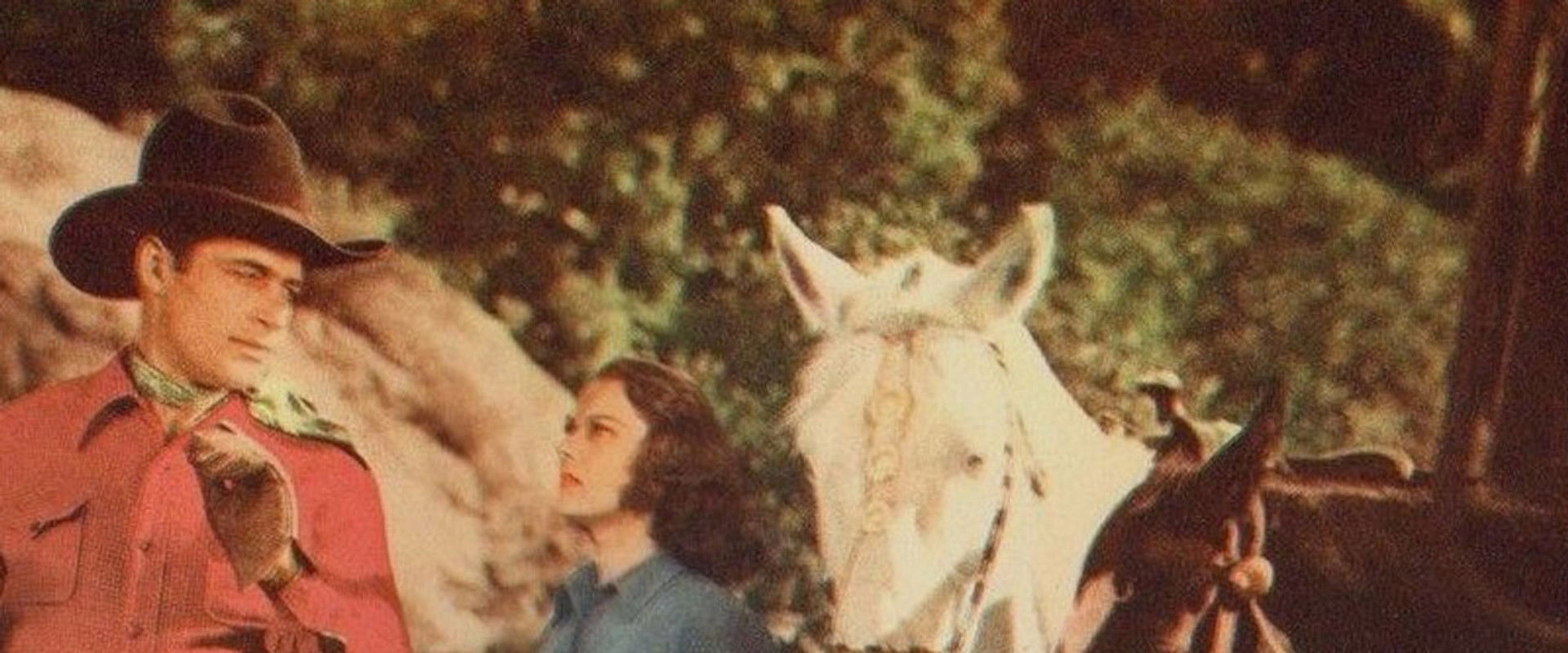 Bullets for Rustlers backdrop