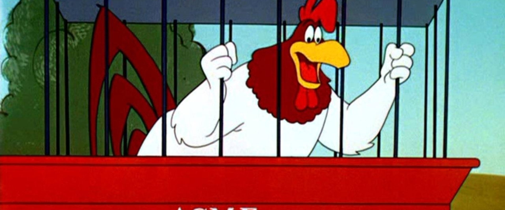 A Broken Leghorn backdrop