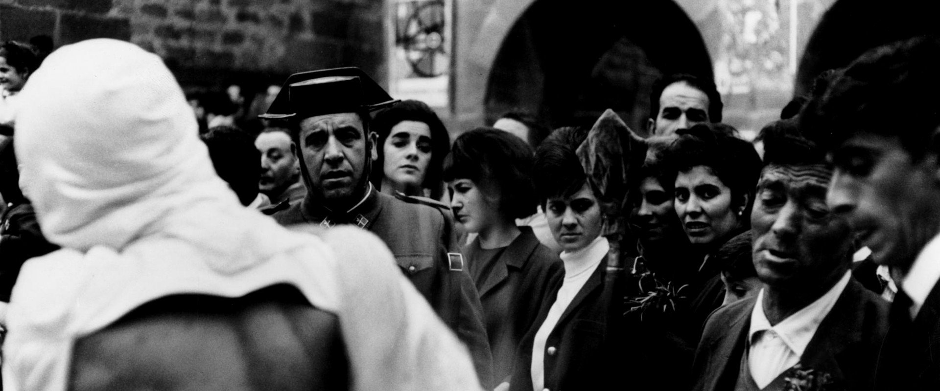 Far from the Trees backdrop