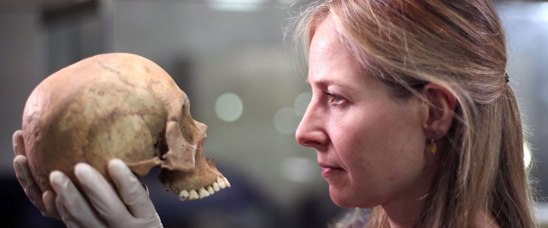 The Greatest Tomb on Earth: Secrets of Ancient China backdrop