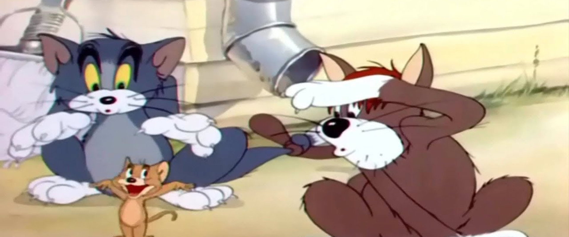 Sufferin' Cats! backdrop