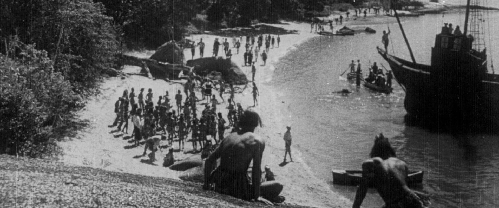The Discovery of Brazil backdrop