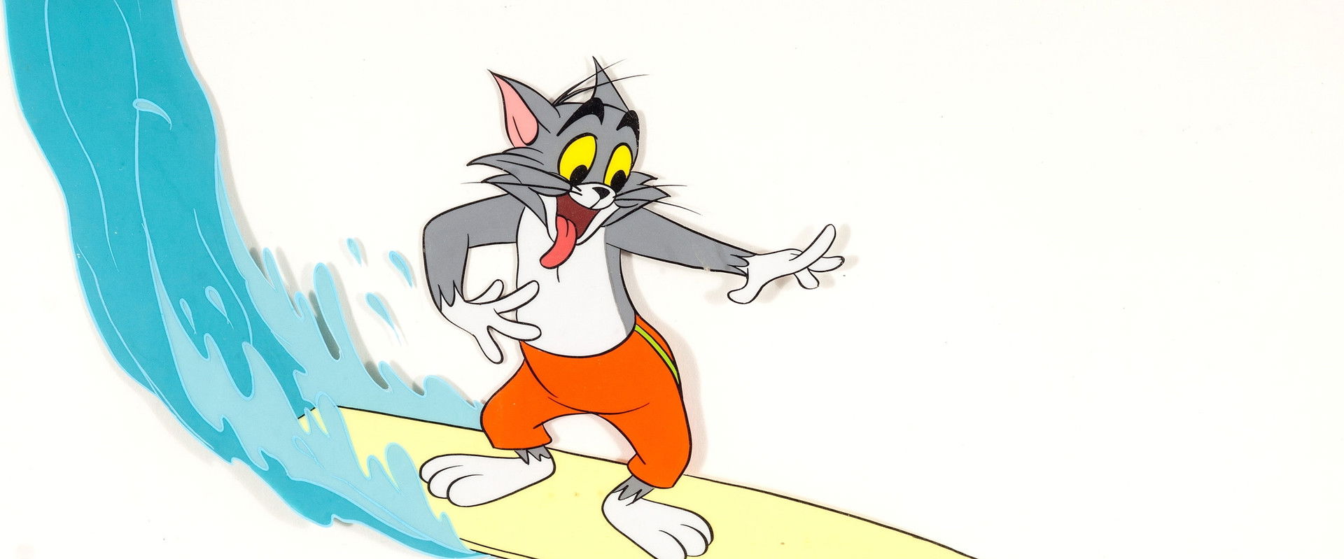 Surf-Bored Cat backdrop