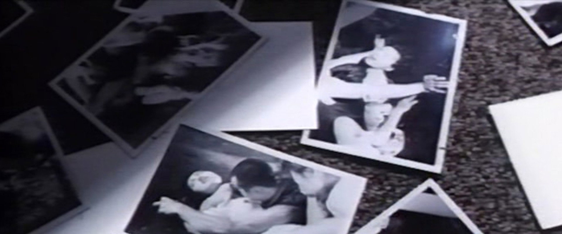 Wife Collector backdrop