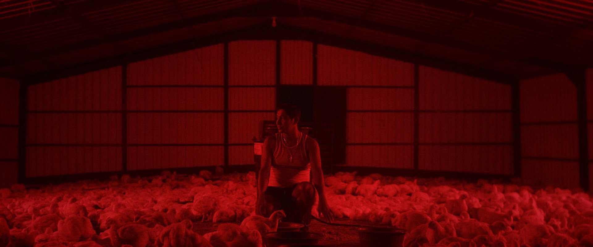 Lovers in the Sky backdrop