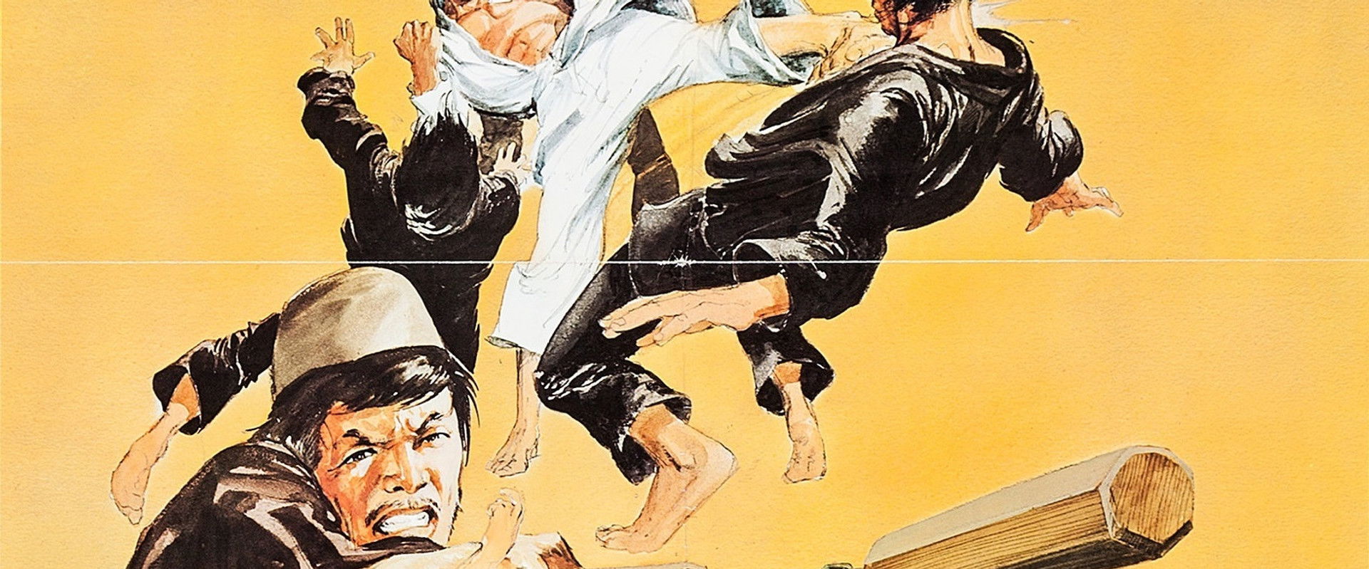 Wits to Wits backdrop