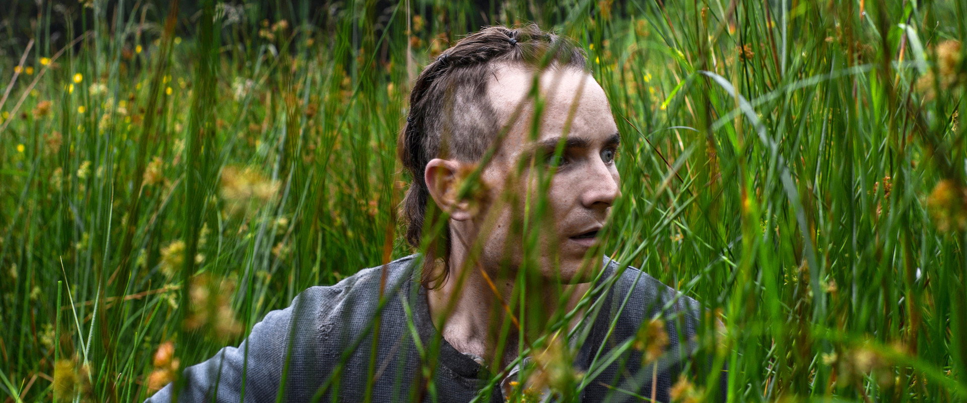 The Survivalist backdrop