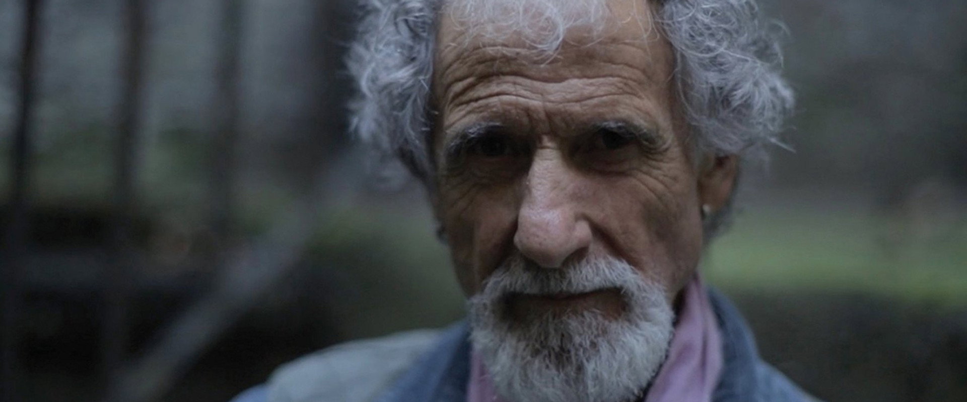 Frank Serpico backdrop