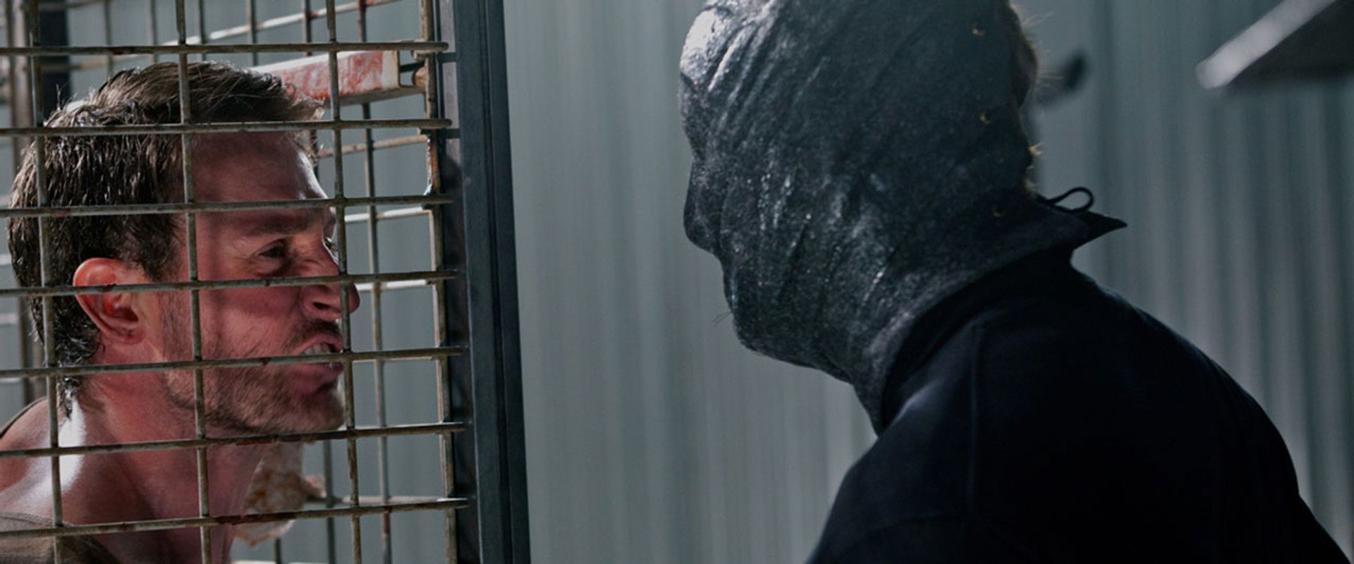 The Collection backdrop