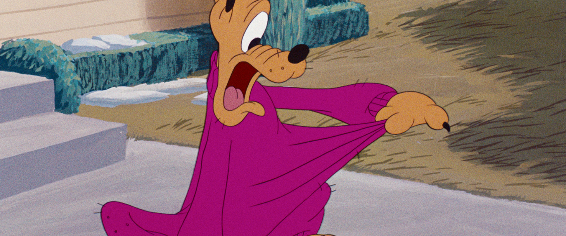 Pluto's Sweater backdrop