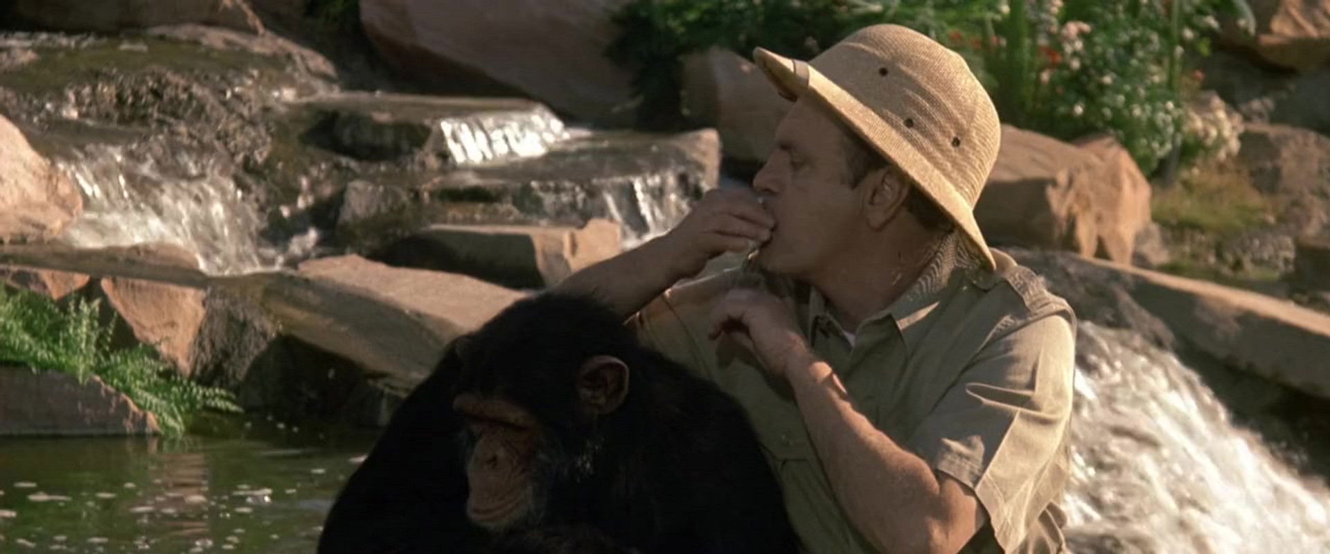 The Entertainers backdrop