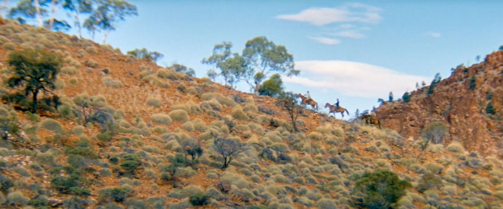 The Tracker backdrop