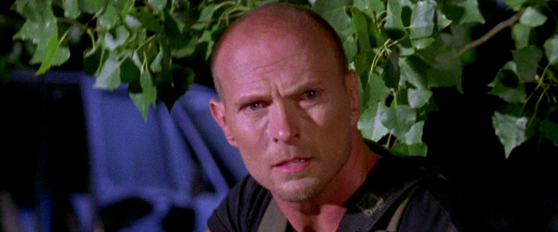 The Dead Undead backdrop