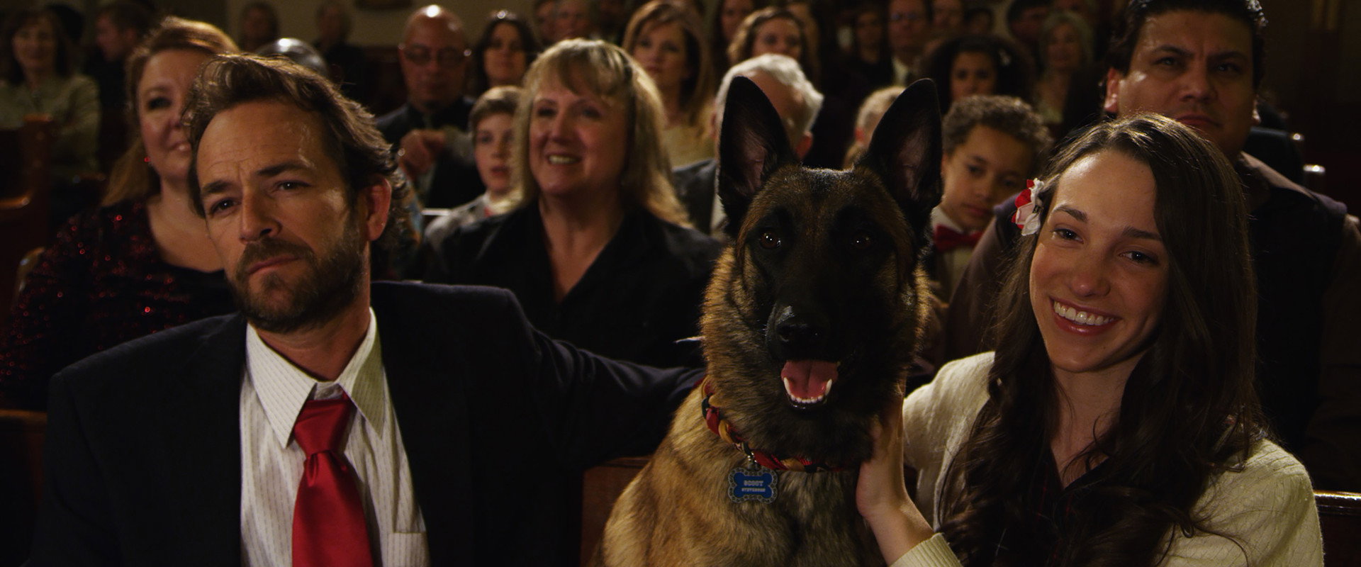 K-9 Adventures: A Christmas Tale backdrop