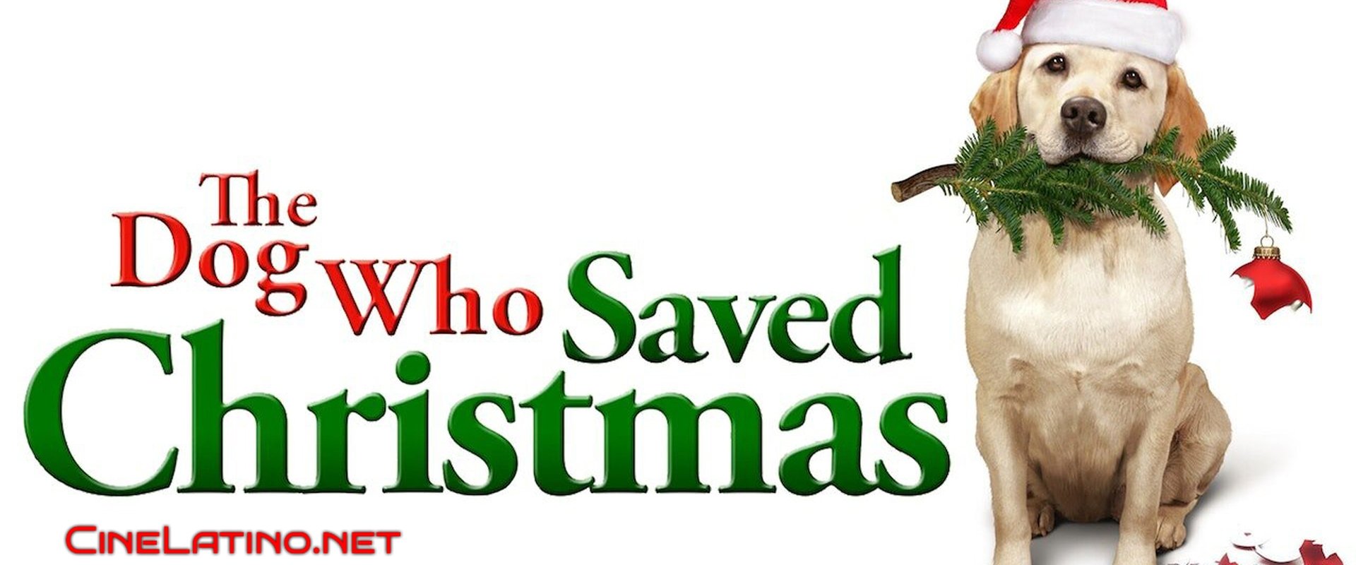 The Dog Who Saved the Holidays backdrop