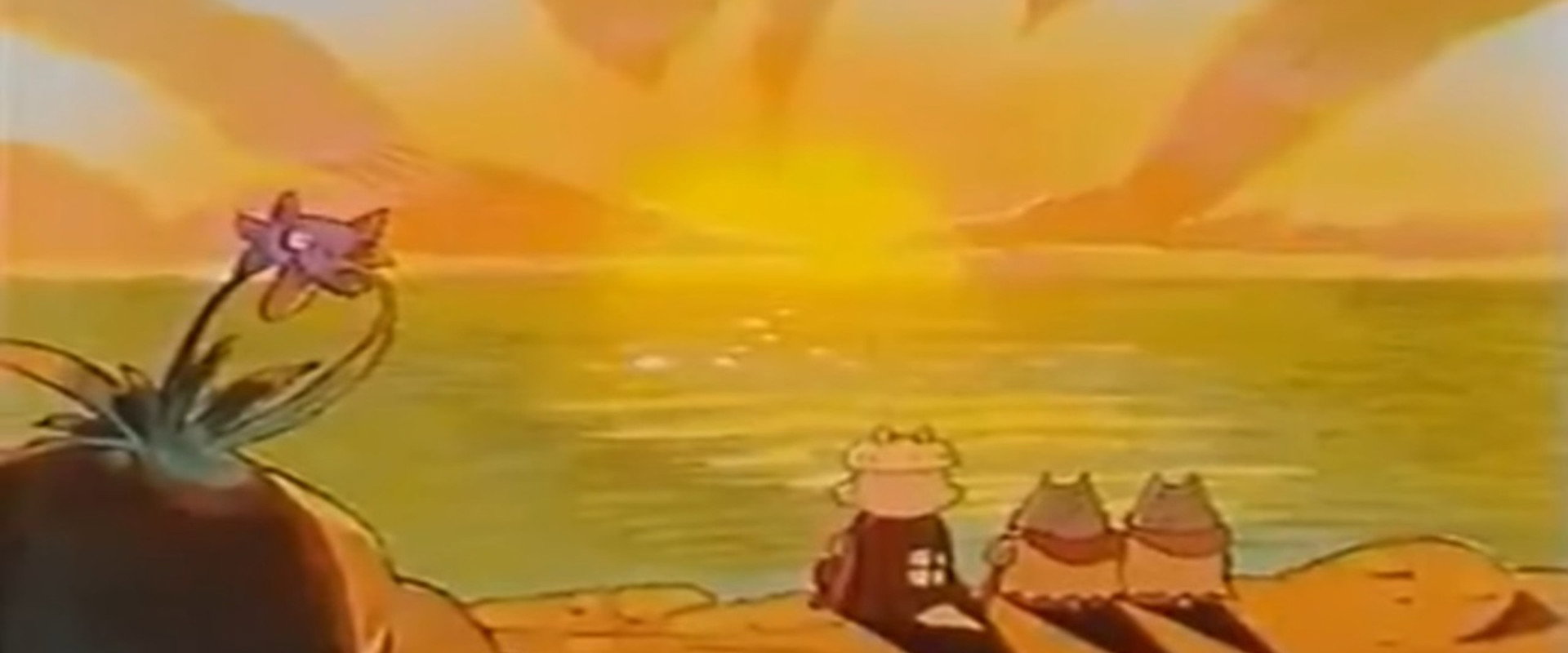 Incredible Zorori: The Wizard's Apprentice/The Great Pirate Treasure Hunt backdrop