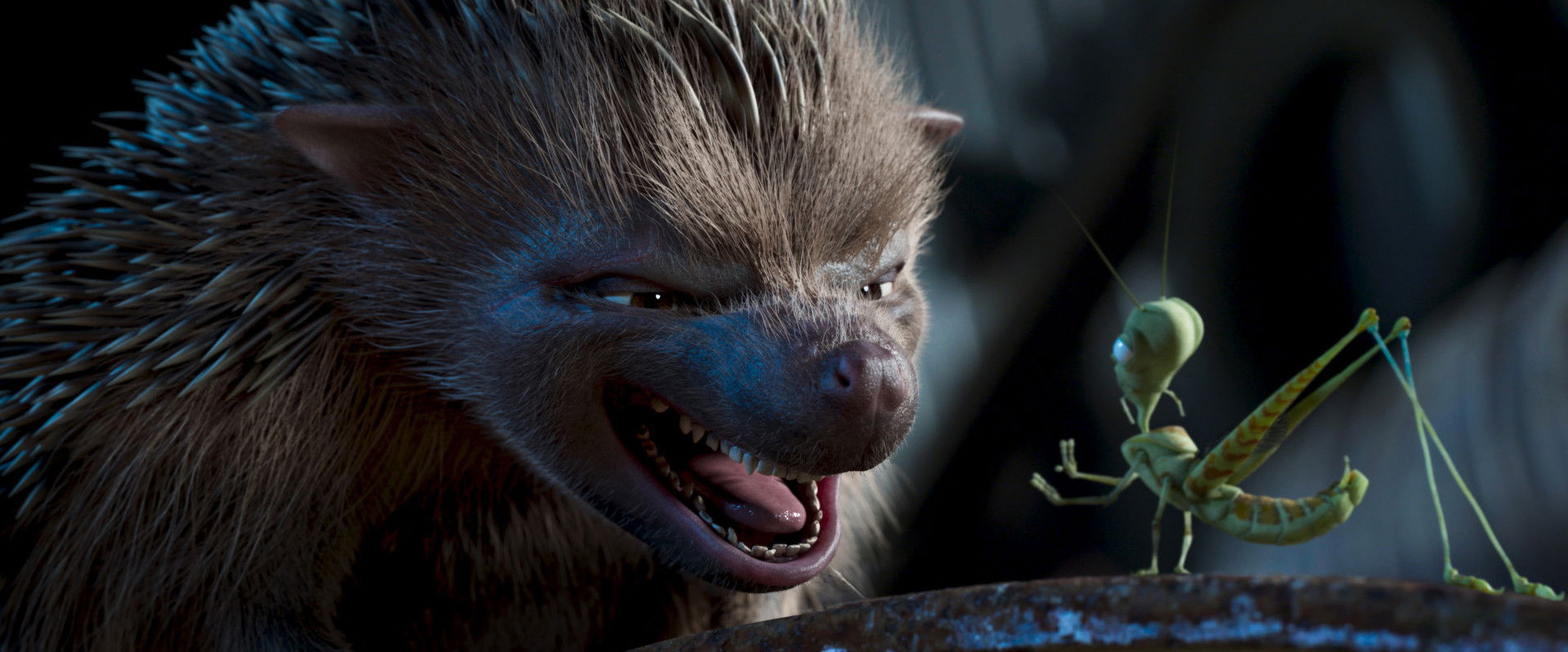 Prickly Jam backdrop