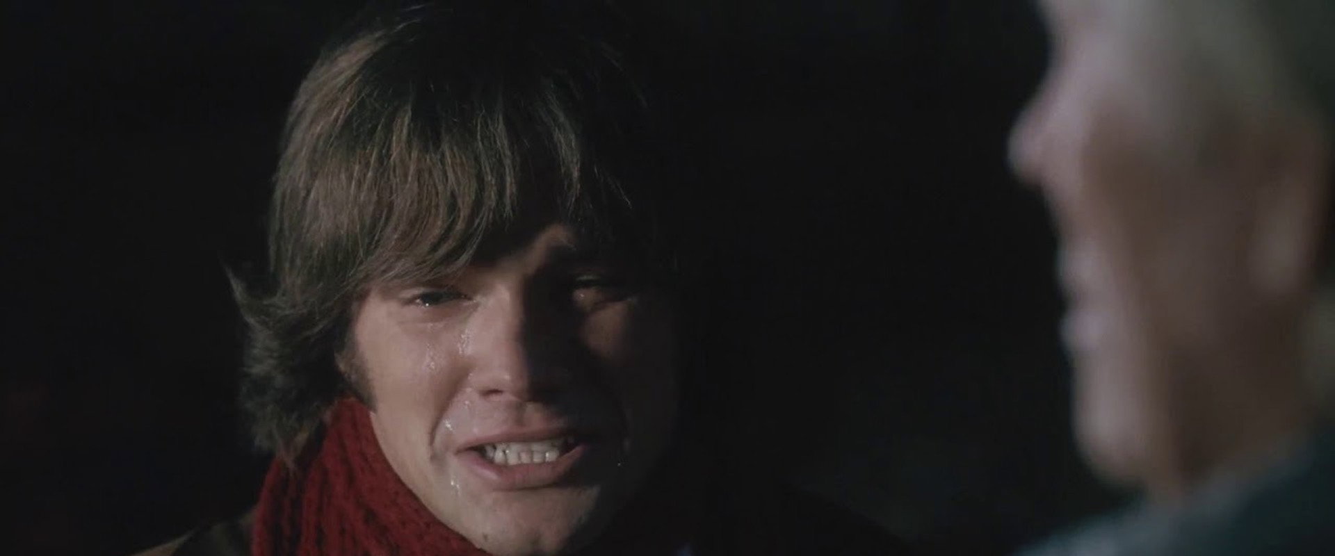 Christmas Cottage backdrop