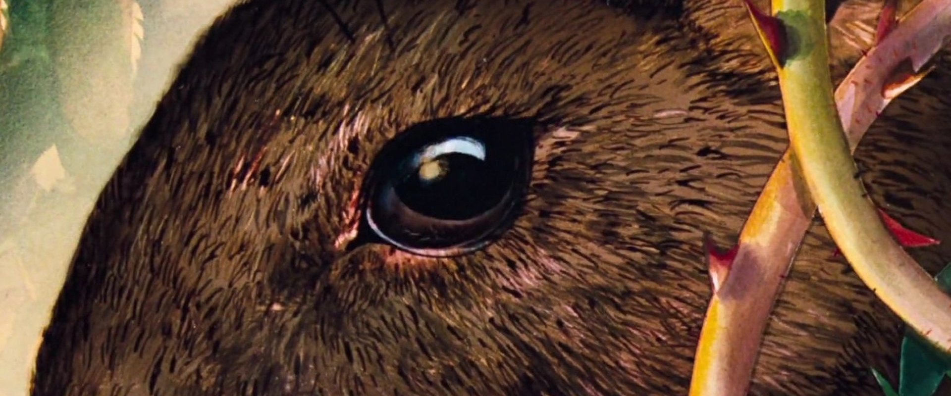 Watership Down backdrop