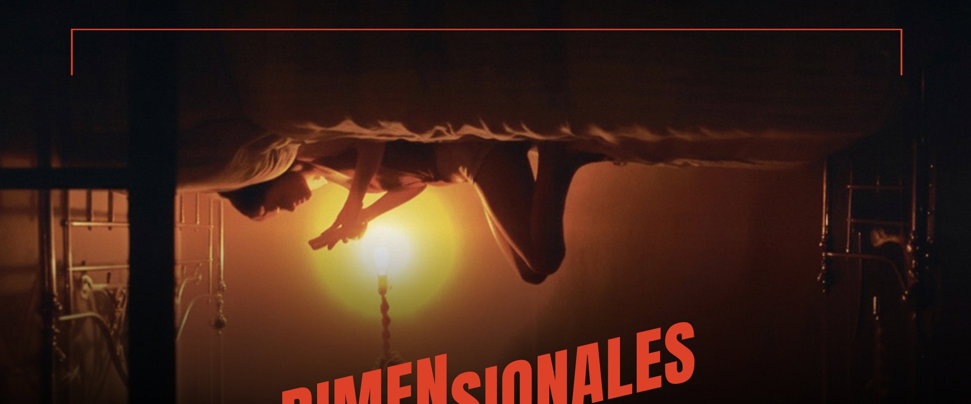 Dimensionales backdrop